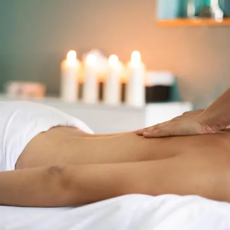 فندق Dvorak & Wellness كارلوفي فاري