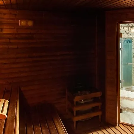 Dvorak & Wellness Карловы Вары