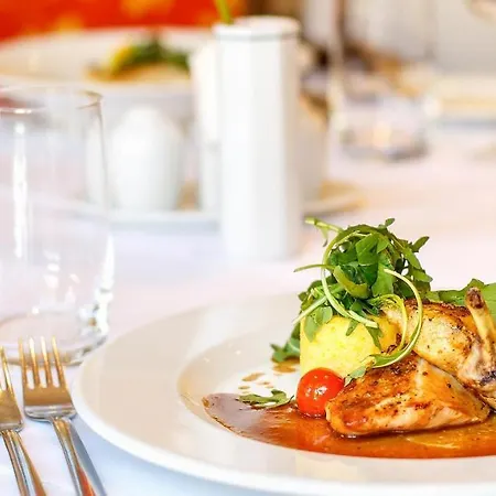 Hotel Dvorak & Wellness 4*