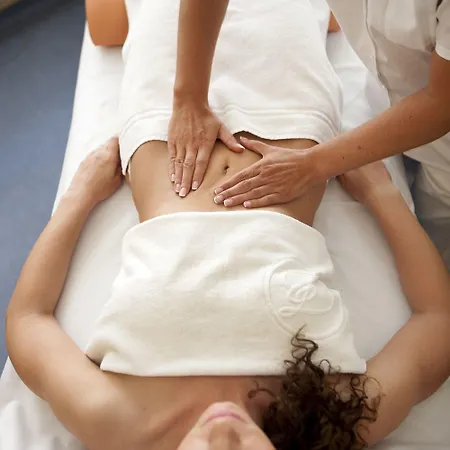 Dvorak & Wellness 4*