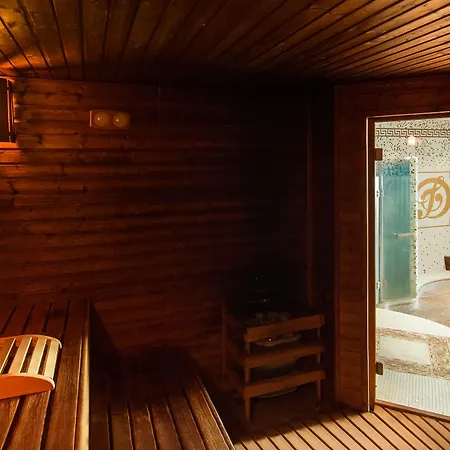 Hotel Dvorak & Wellness
