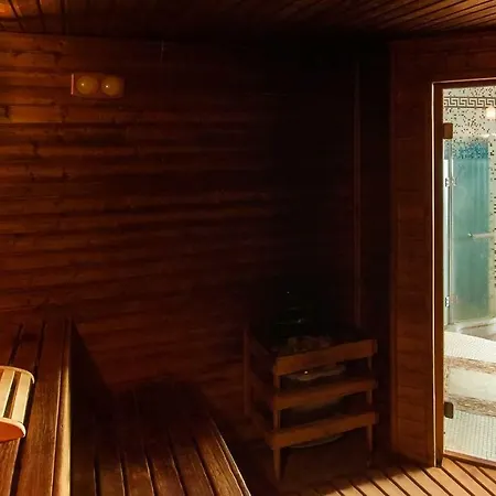 Dvorak Spa&wellness Hotel 4*