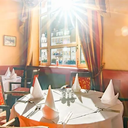 Dvorak & Wellness 4* Karlovy Vary
