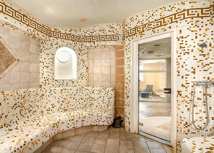 Dvorak & Wellness Karlovy Vary