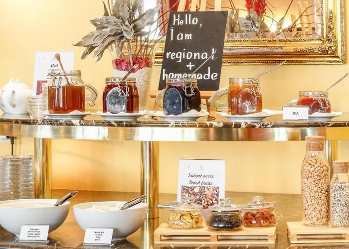 Dvorak & Wellness Hotell